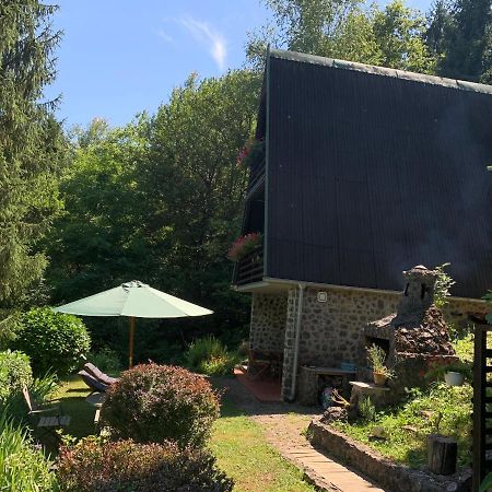 Holiday Home Dragonfly River House On Korana Near Plitvice And Mreznica Barilovic 外观 照片