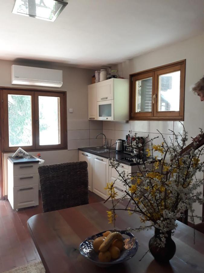 Holiday Home Dragonfly River House On Korana Near Plitvice And Mreznica Barilovic 外观 照片