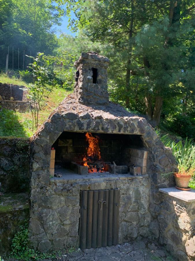 Holiday Home Dragonfly River House On Korana Near Plitvice And Mreznica Barilovic 外观 照片
